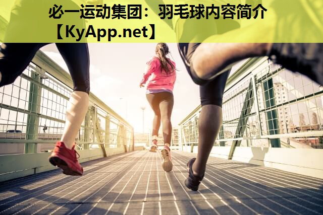必一运动集团：羽毛球内容简介