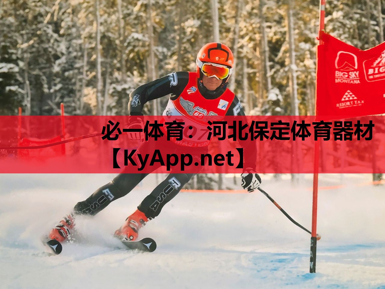必一体育：河北保定体育器材