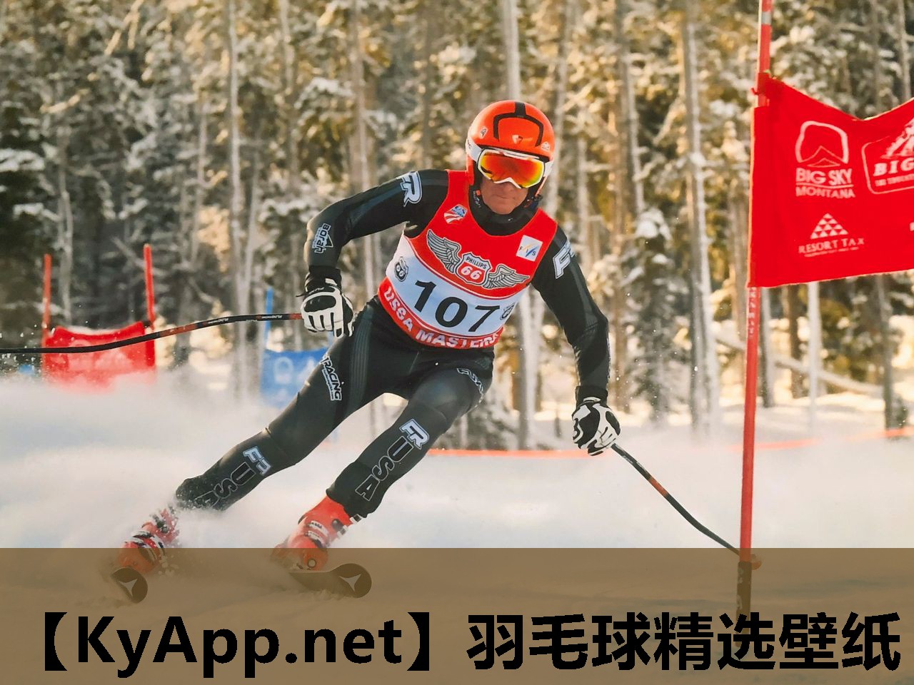 羽毛球精选壁纸