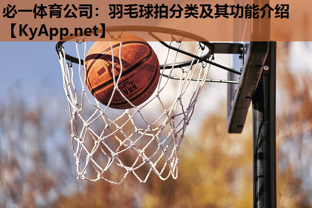 必一体育公司：羽毛球拍分类及其功能介绍