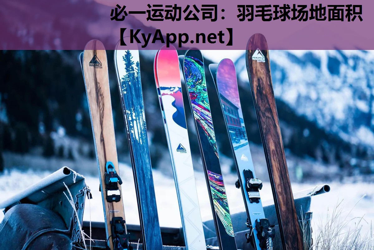 必一运动公司：羽毛球场地面积