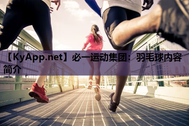 羽毛球内容简介