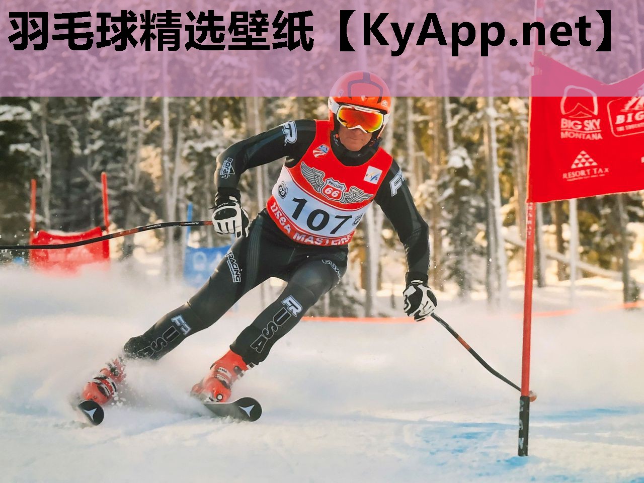 羽毛球精选壁纸