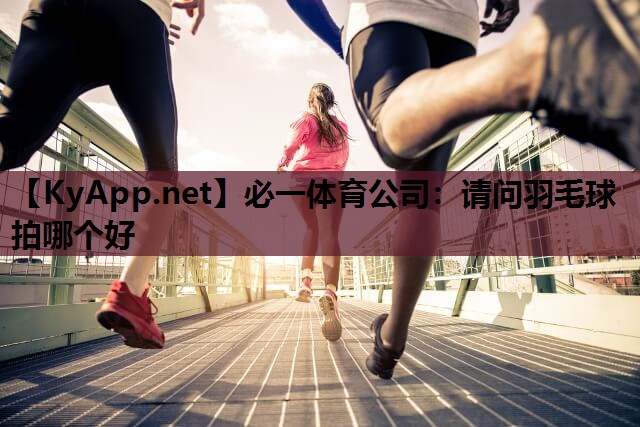 请问羽毛球拍哪个好