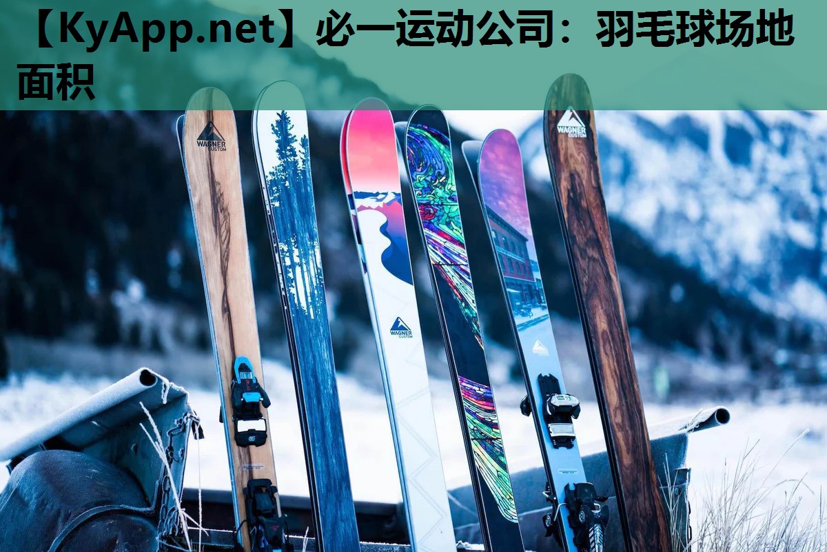 羽毛球场地面积