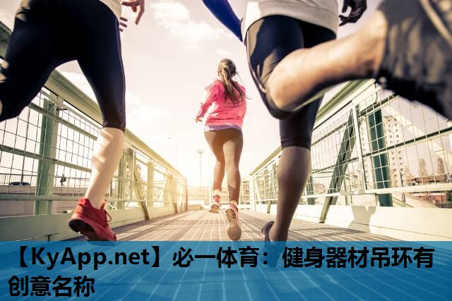 健身器材吊环有创意名称